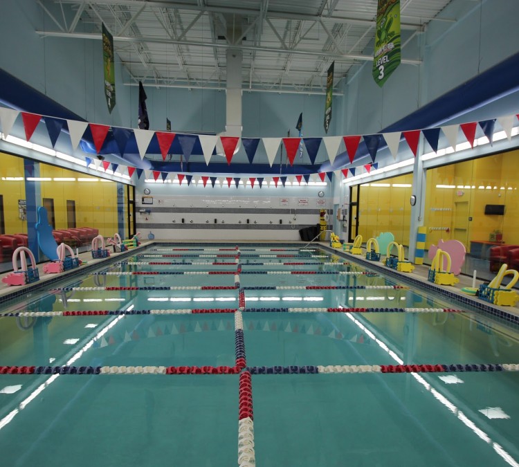 aqua-tots-swim-schools-novi-photo
